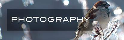 Photography Photography